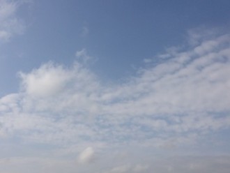 f:id:Magnoliarida:20140703015825j:image