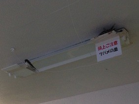 f:id:Magnoliarida:20140709224658j:image f:id:Magnoliarida:20140709224658j:image