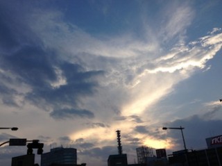 f:id:Magnoliarida:20140709224736j:image f:id:Magnoliarida:20140709224736j:image