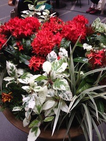 f:id:Magnoliarida:20140714061103j:image