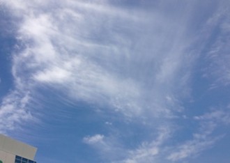 f:id:Magnoliarida:20140803232434j:image