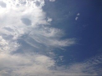 f:id:Magnoliarida:20140803232435j:image