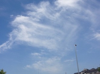 f:id:Magnoliarida:20140803232436j:image