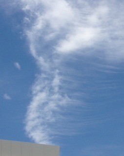 f:id:Magnoliarida:20140803232437j:image