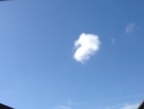 f:id:Magnoliarida:20140806182545j:image