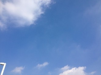 f:id:Magnoliarida:20140822231157j:image