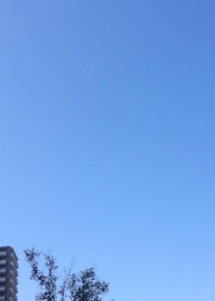 f:id:Magnoliarida:20141018004607j:image