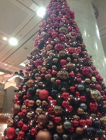 f:id:Magnoliarida:20141110005618j:image