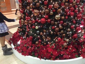 f:id:Magnoliarida:20141110005620j:image