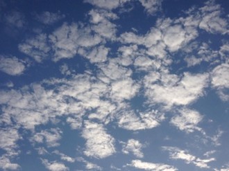 f:id:Magnoliarida:20141122220608j:image