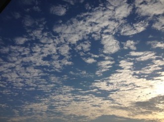 f:id:Magnoliarida:20141122220610j:image