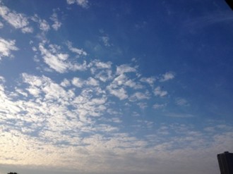 f:id:Magnoliarida:20141122220611j:image