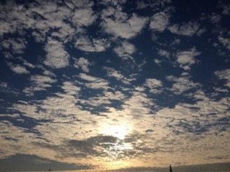 f:id:Magnoliarida:20141122220612j:image