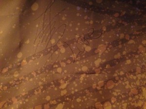 f:id:Magnoliarida:20141201010512j:image