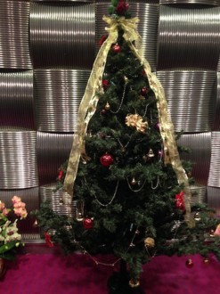 f:id:Magnoliarida:20141217175000j:image