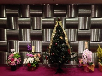 f:id:Magnoliarida:20141217175001j:image