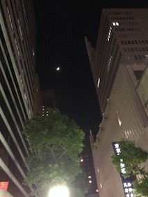 f:id:Magnoliarida:20141228101542j:image f:id:Magnoliarida:20141228101542j:image