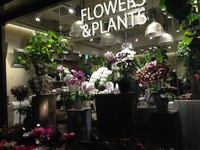 f:id:Magnoliarida:20141228101546j:image