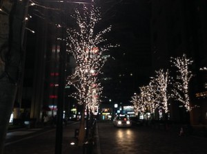 f:id:Magnoliarida:20141228101559j:image