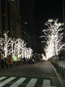 f:id:Magnoliarida:20141228101600j:image