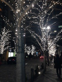 f:id:Magnoliarida:20141228101601j:image