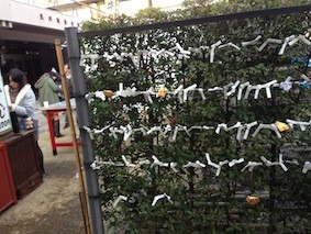 f:id:Magnoliarida:20150104223217j:image