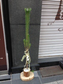 f:id:Magnoliarida:20150104223410j:image