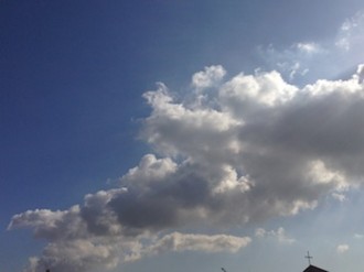 f:id:Magnoliarida:20150222010623j:image