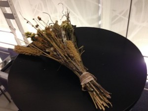 f:id:Magnoliarida:20150408113128j:image