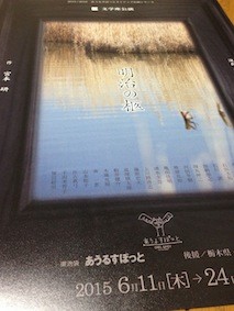 f:id:Magnoliarida:20150417105027j:image