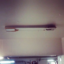 f:id:Magnoliarida:20150519145737j:image