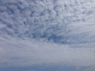 f:id:Magnoliarida:20150520114614j:image