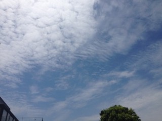 f:id:Magnoliarida:20150525020219j:image