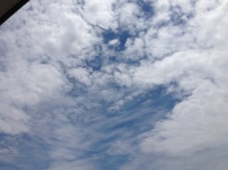 f:id:Magnoliarida:20150525020220j:image