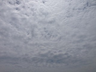 f:id:Magnoliarida:20150525020221j:image