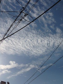 f:id:Magnoliarida:20150525152914j:image