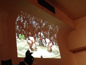 f:id:Magnoliarida:20150525152936j:image