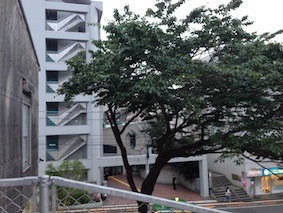 f:id:Magnoliarida:20150605113149j:image