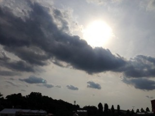 f:id:Magnoliarida:20150608131339j:image