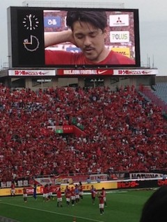 f:id:Magnoliarida:20150608131343j:image