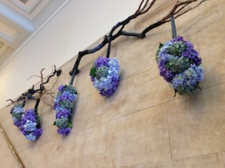 f:id:Magnoliarida:20150612111308j:image f:id:Magnoliarida:20150612111308j:image