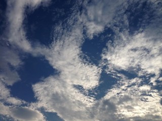 f:id:Magnoliarida:20150817122433j:image