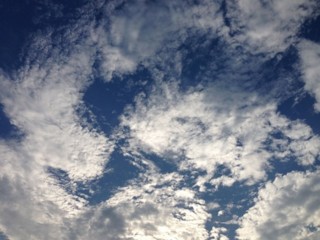 f:id:Magnoliarida:20150817122434j:image