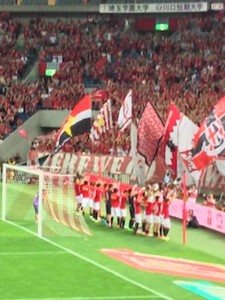 f:id:Magnoliarida:20150817122555j:image f:id:Magnoliarida:20150817122555j:image