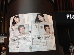 f:id:Magnoliarida:20150823033717j:image