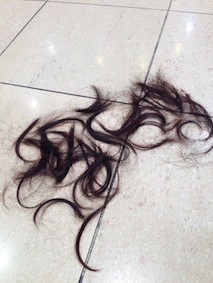 f:id:Magnoliarida:20150829095741j:image