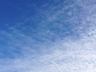 f:id:Magnoliarida:20150911115818j:image