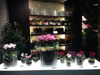 f:id:Magnoliarida:20151102225855j:image