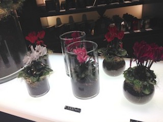 f:id:Magnoliarida:20151102225858j:image