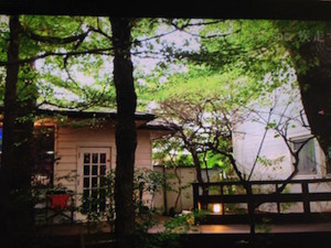 f:id:Magnoliarida:20160102222442j:image